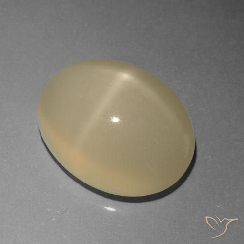 6.77ct 天然 薄いコーヒーブラウン スタームーンストーン, 楕円形, 半透明