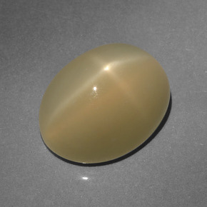 6.64カラットの天然薄いトルティーヤブラウンスタームーンストーン（12.6×9.7 mm・オーバルカット）