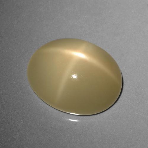 8.95カラットの天然薄いコーヒーブラウンスタームーンストーン、オーバルカット、半透明