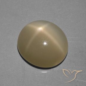 6.68カラットの天然薄いイエローブラウンスタームーンストーン、楕円形、半透明