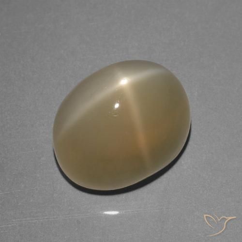 8.39ct 天然 薄いブラウン スタームーンストーン, 楕円形, 半透明