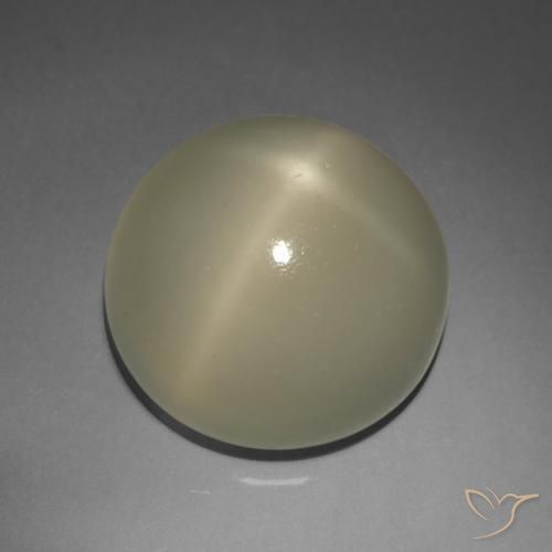 9.02ct 天然 アーシーブラウン スタームーンストーン, ラウンド, 半透明