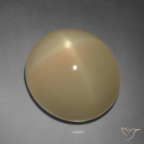 11.20ct 天然 薄いトルティーヤブラウン スタームーンストーン, 楕円形, 半透明