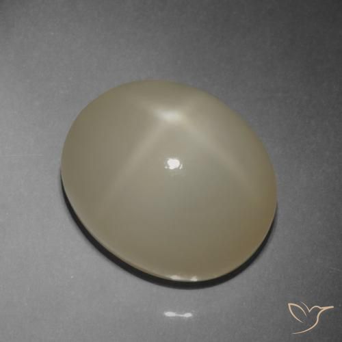 9.42ct 天然 薄いコーヒーブラウン スタームーンストーン, 楕円形, 半透明