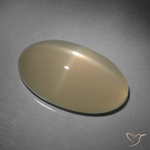 10.15ct 天然 薄いブラウン スタームーンストーン, 楕円形, 半透明