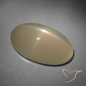 10.15カラットの天然薄いブラウンスタームーンストーン、楕円形、半透明