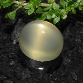 11.57カラットの天然ライトイエロースタームーンストーン、オーバルカット、半透明