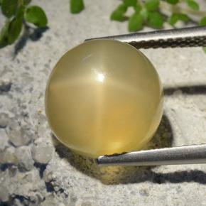 7.32カラットの天然ミディアムイエロースタームーンストーン、ラウンドカット、半透明