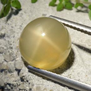 7.32カラットの天然ミディアムイエロースタームーンストーン、ラウンドカット、半透明