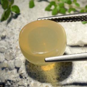 7.32カラットの天然ミディアムイエロースタームーンストーン、ラウンドカット、半透明