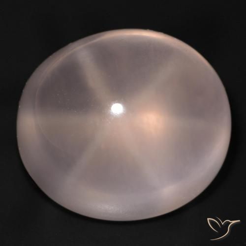 48.94ct 天然 ミディアムピンク スターローズクォーツ, 楕円形, 透明