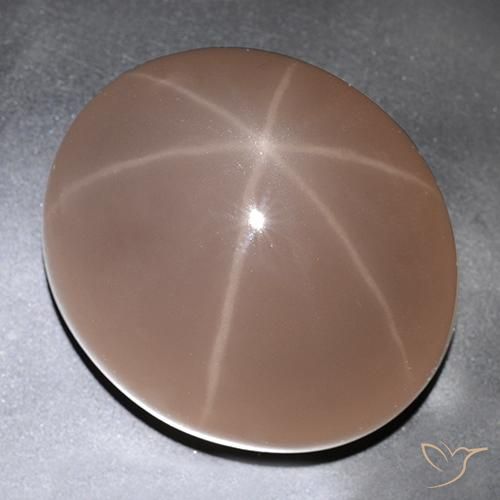 529.63ct 天然 天道虫の赤色 スターローズクォーツ, 楕円形, 半透明