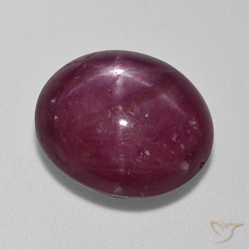 13.67ct 天然 ダークレッド スタールビー, 楕円形, オペーク