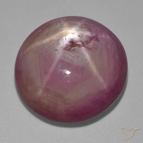 31.80ct 天然 ミディアム薄いパープル スタールビー, 楕円形, オペーク
