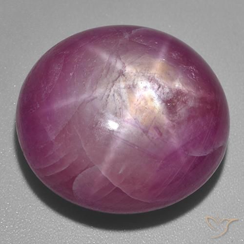 53.60ct 天然 ミディアムダークパープル スタールビー, 楕円形, オペーク