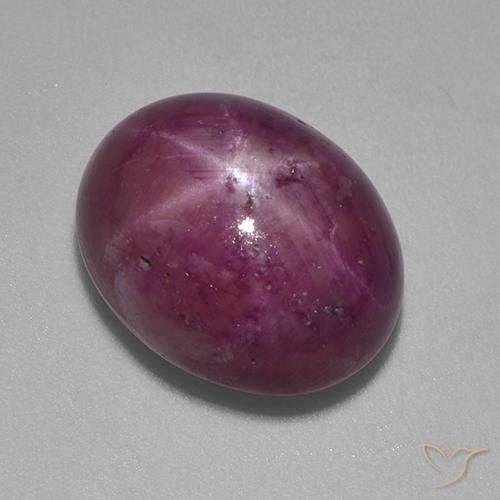 13.24ct 天然 赤みがかったパープル スタールビー, 楕円形, オペーク