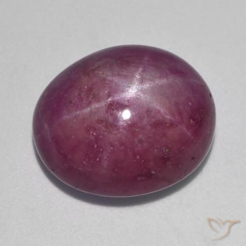12.54ct 天然 プラムパープル スタールビー, 楕円形, オペーク