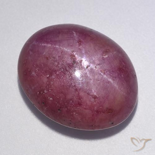 12.56ct 天然 ミディアムダークパープル スタールビー, 楕円形, オペーク
