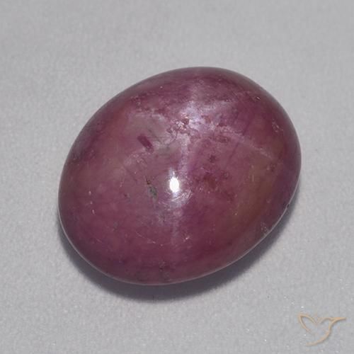 8.30ct 天然 ミディアムダークパープル スタールビー, 楕円形, オペーク