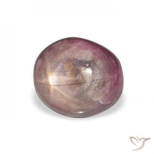 4.41カラットの天然Medium Dark-Purpleスタールビー、楕円形、オペーク