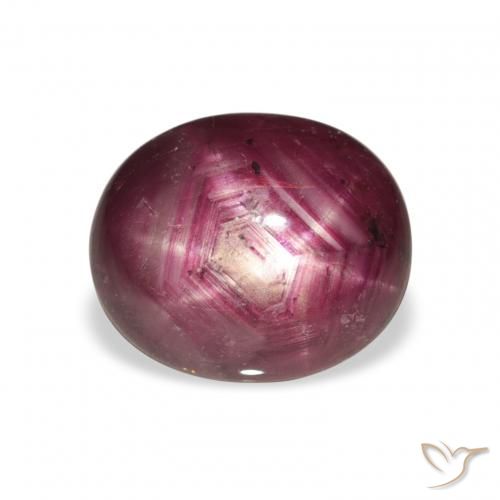 5.69ct 天然 Medium Dark-Purple スタールビー, 楕円形, オペーク