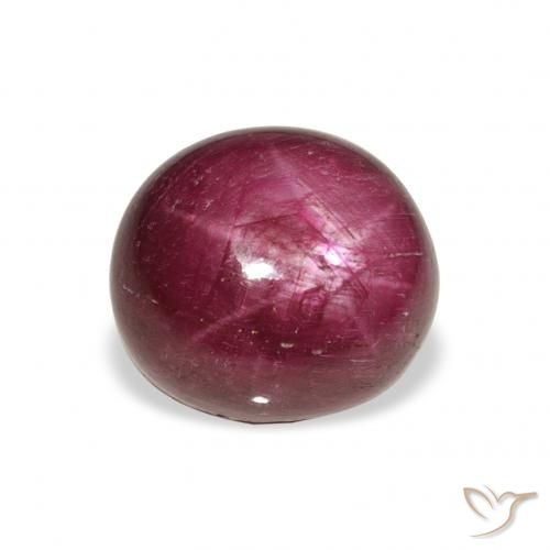 9.87ct 天然 Medium Dark-Purple スタールビー, 楕円形, オペーク
