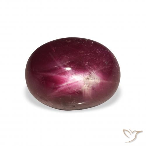 6.34ct 天然 ダークレッド スタールビー, 楕円形, オペーク