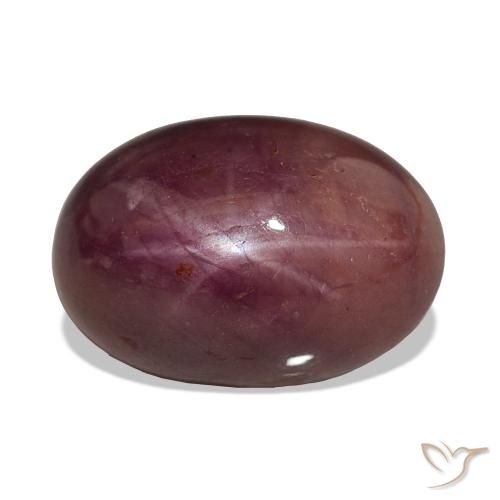 15.06ct プラムパープル スタールビー, 楕円形, オペーク