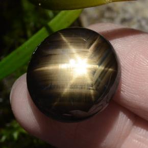 30.49カラットの天然黒スターサファイア（18.9×17.4 mm・オーバルカット）