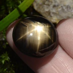 30.49カラットの天然黒スターサファイア（18.9×17.4 mm・オーバルカット）