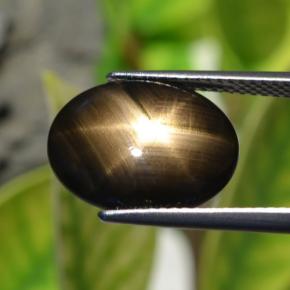 6.32カラットの天然黒スターサファイア（14.7×11.6 mm・オーバルカット）