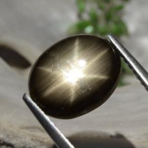 3.26カラットの天然ブラックスターサファイア、オーバルカット、オペーク