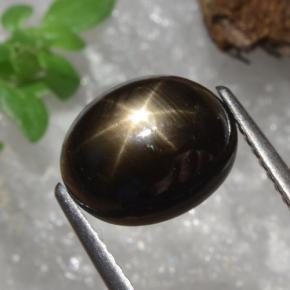 4.91カラットの天然黒スターサファイア（10×8.1 mm・オーバルカット）