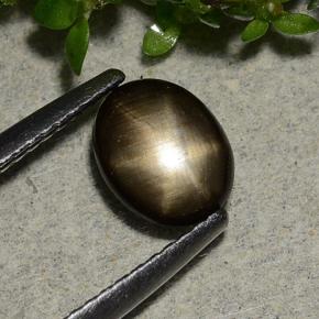 1.15カラットの天然黒スターサファイア（7.6×6.1 mm・オーバルカット）