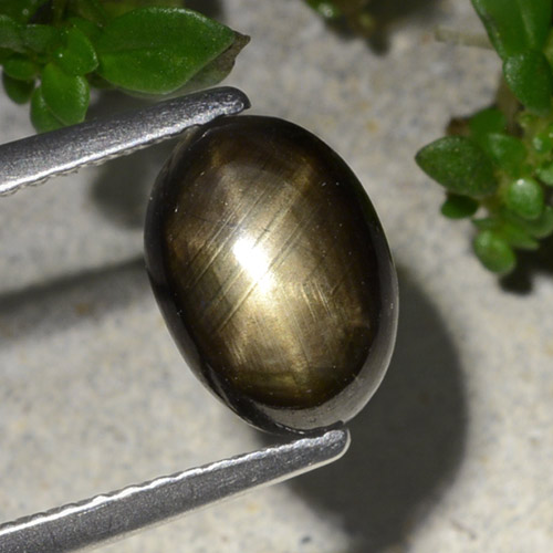 2.20カラットの天然黒スターサファイア（8.9×6.4 mm・オーバルカット）