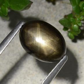 2.20カラットの天然黒スターサファイア（8.9×6.4 mm・オーバルカット）