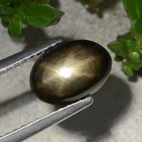 2.20カラットの天然黒スターサファイア（8.9×6.4 mm・オーバルカット）