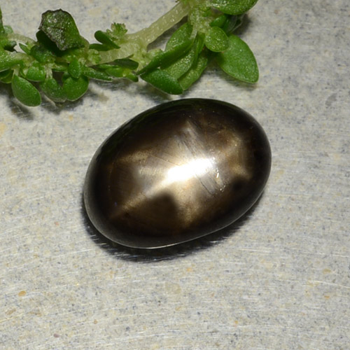 2.31カラットの天然黒スターサファイア（8.9x6.6 mm・オーバルカット）