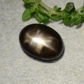2.31カラットの天然黒スターサファイア（8.9x6.6 mm・オーバルカット）