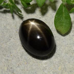 2.60カラットの天然黒スターサファイア（8.3×6 mm・オーバルカット）