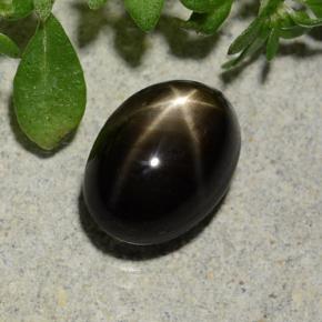 2.60カラットの天然黒スターサファイア（8.3×6 mm・オーバルカット）