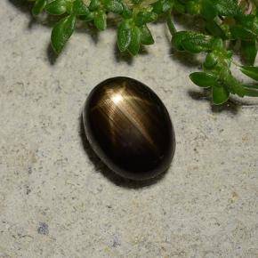 1.96カラットの天然黒スターサファイア（8×6.1 mm・オーバルカット）