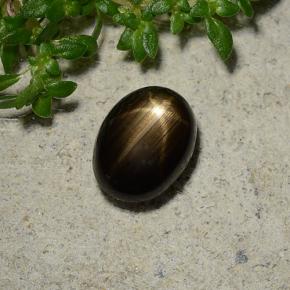 1.96カラットの天然黒スターサファイア（8×6.1 mm・オーバルカット）