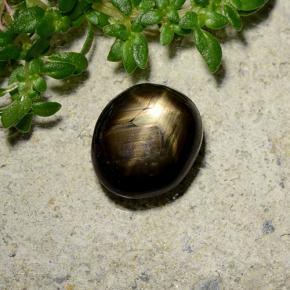 2.46カラットの天然黒スターサファイア（7.9×6.8 mm・オーバルカット）