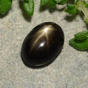 2.91カラットの天然黒スターサファイア（9.1×6.7 mm・オーバルカット）