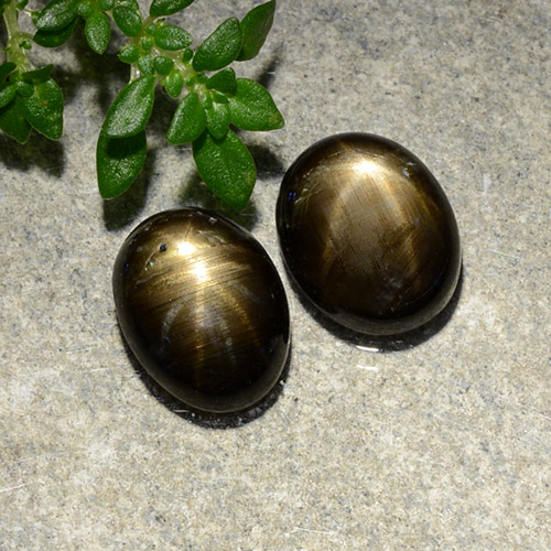 自然派の商品を探す 4.01ct ブラック スターサファイア 宝石, オーバルカット, タイ からGemSelectで. 在庫あり、世界各国へ発送!