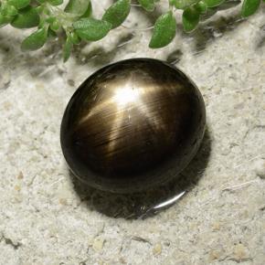 3.31カラットの天然黒スターサファイア（8.3×7.3 mm・オーバルカット）