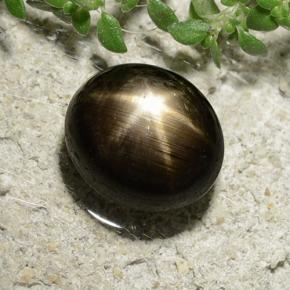 3.31カラットの天然黒スターサファイア（8.3×7.3 mm・オーバルカット）