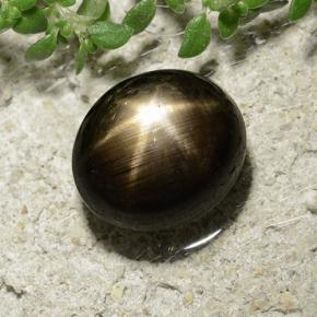 3.31カラットの天然黒スターサファイア（8.3×7.3 mm・オーバルカット）