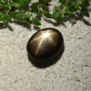 2.10カラットの天然黒スターサファイア（8.2×6.4 mm・オーバルカット）